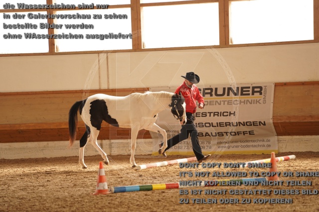 s_A_901278.JPG